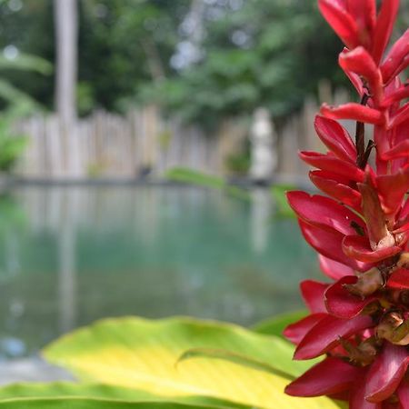 Suka'S House Bed & Breakfast Ubud  Exterior photo